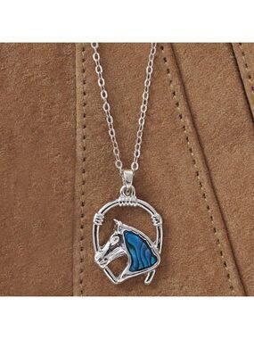 Abalone Shell Horse Framed with Horseshoe Necklace - New In Package